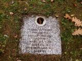 image of grave number 800139